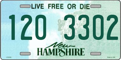 NH license plate 1203302