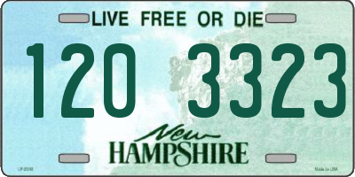 NH license plate 1203323