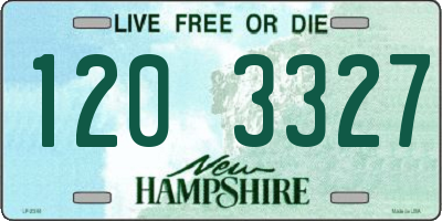 NH license plate 1203327