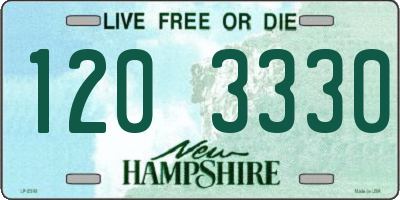 NH license plate 1203330