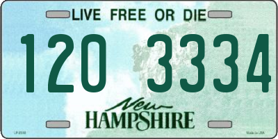 NH license plate 1203334