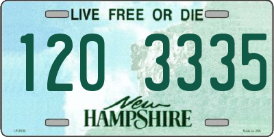 NH license plate 1203335