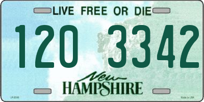 NH license plate 1203342
