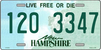 NH license plate 1203347