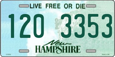 NH license plate 1203353