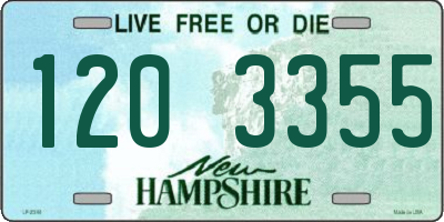 NH license plate 1203355