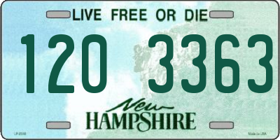 NH license plate 1203363