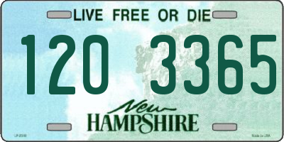 NH license plate 1203365