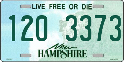 NH license plate 1203373