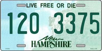 NH license plate 1203375