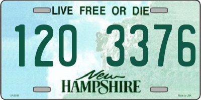 NH license plate 1203376