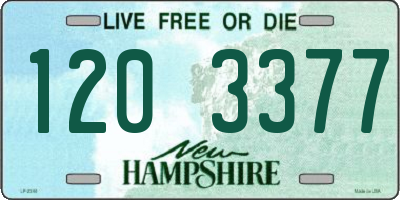 NH license plate 1203377