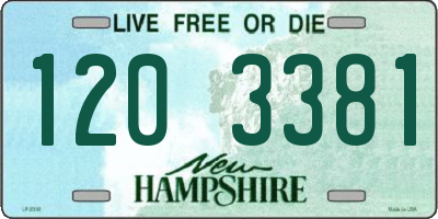 NH license plate 1203381