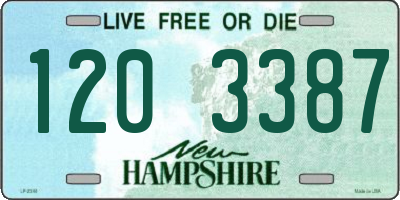 NH license plate 1203387