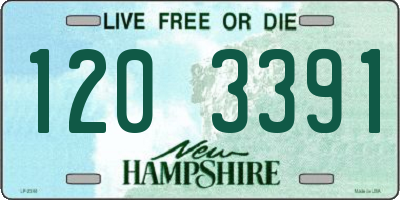 NH license plate 1203391
