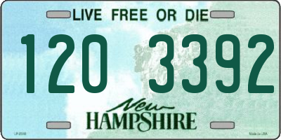 NH license plate 1203392