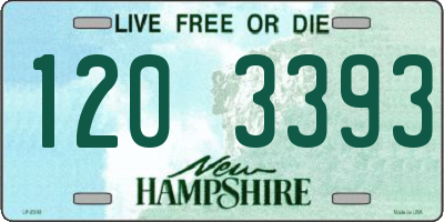 NH license plate 1203393