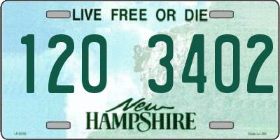 NH license plate 1203402