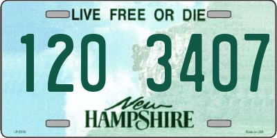 NH license plate 1203407