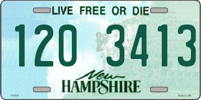 NH license plate 1203413