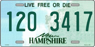 NH license plate 1203417