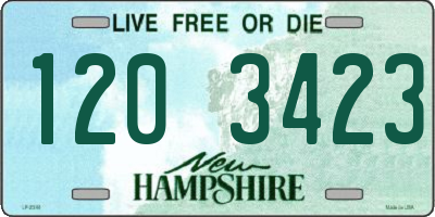NH license plate 1203423
