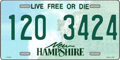 NH license plate 1203424