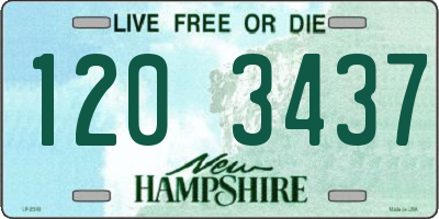 NH license plate 1203437