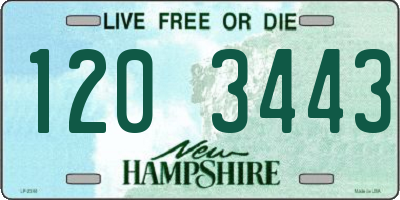 NH license plate 1203443