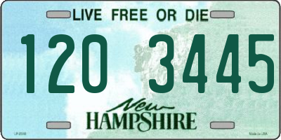 NH license plate 1203445