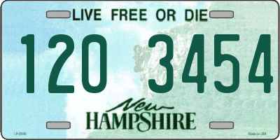 NH license plate 1203454