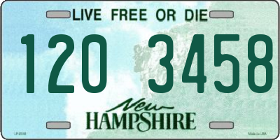 NH license plate 1203458