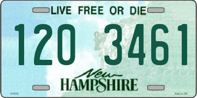 NH license plate 1203461