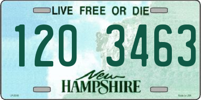 NH license plate 1203463