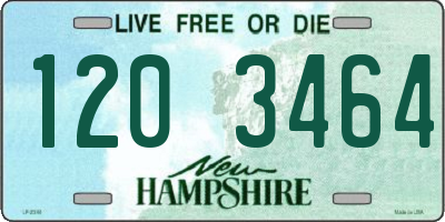 NH license plate 1203464