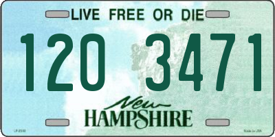 NH license plate 1203471