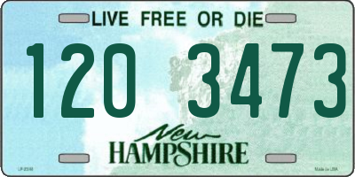 NH license plate 1203473