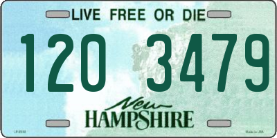 NH license plate 1203479