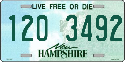 NH license plate 1203492