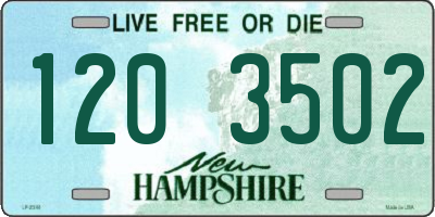 NH license plate 1203502
