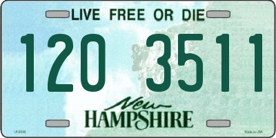 NH license plate 1203511