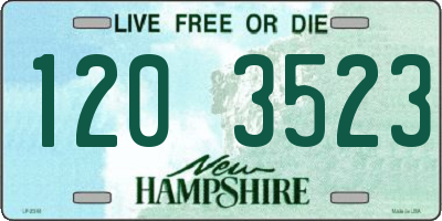 NH license plate 1203523