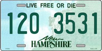 NH license plate 1203531