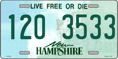 NH license plate 1203533