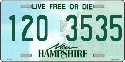 NH license plate 1203535