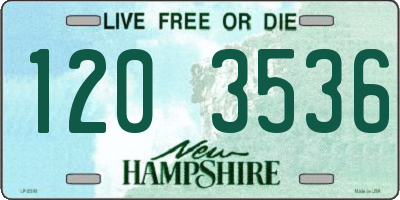 NH license plate 1203536