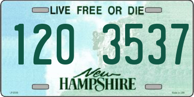 NH license plate 1203537