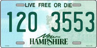 NH license plate 1203553