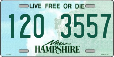 NH license plate 1203557