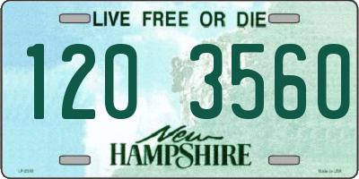 NH license plate 1203560